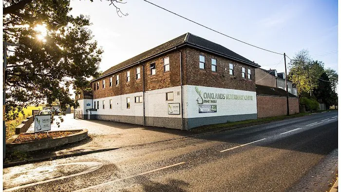 Oaklands Veterinary Centre and Equine Hospital Picture 2