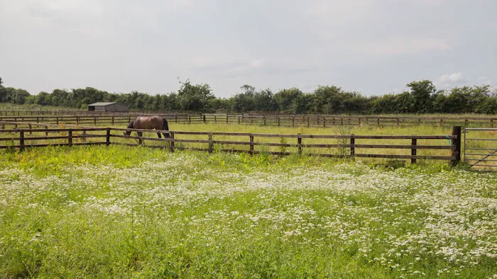 Oaklands Veterinary Centre and Equine Hospital Picture 9