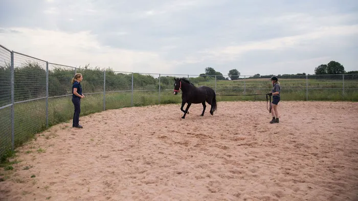 Oaklands Veterinary Centre and Equine Hospital Picture 8