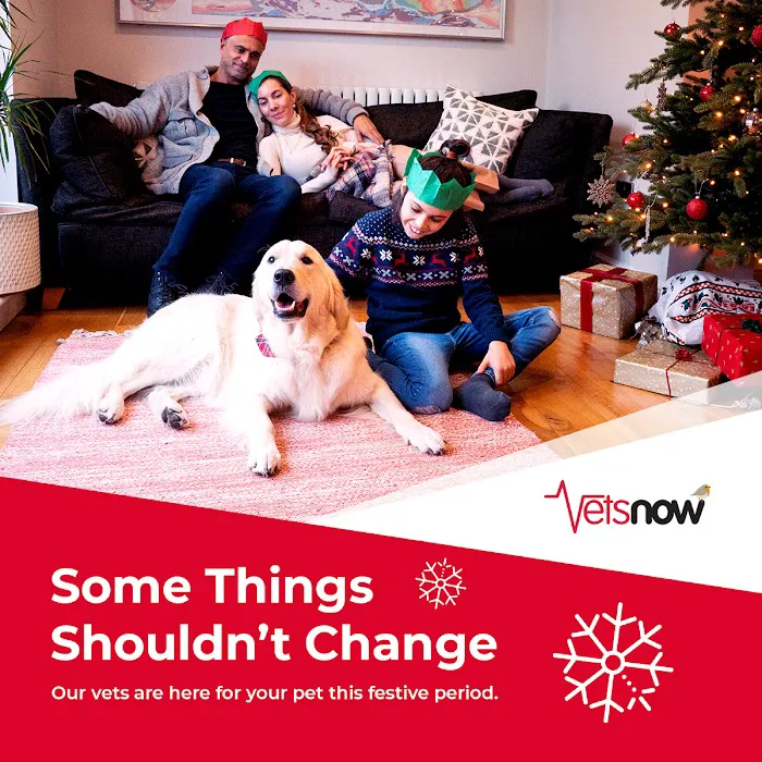 Vets Now Gateshead Picture 10