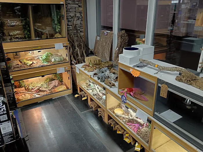 Seaham Pets Gardens & Reptiles Ltd Picture 8