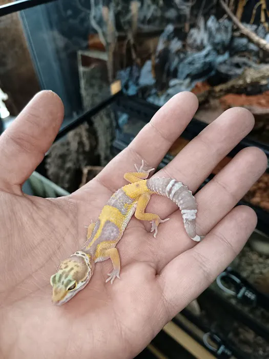 Seaham Pets Gardens & Reptiles Ltd Picture 5