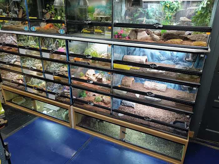 Seaham Pets Gardens & Reptiles Ltd Picture 9