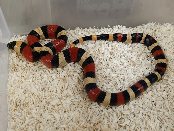 Seaham Pets Gardens & Reptiles Ltd Picture 4