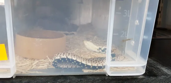 Seaham Pets Gardens & Reptiles Ltd Picture 2