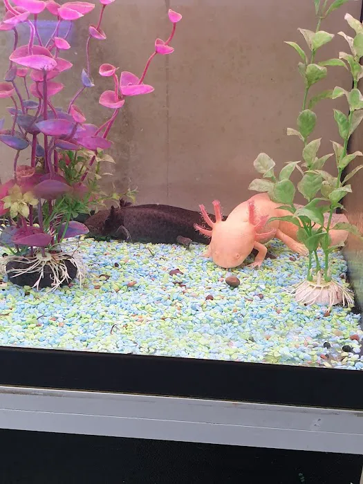 MD Aquatics Picture 1