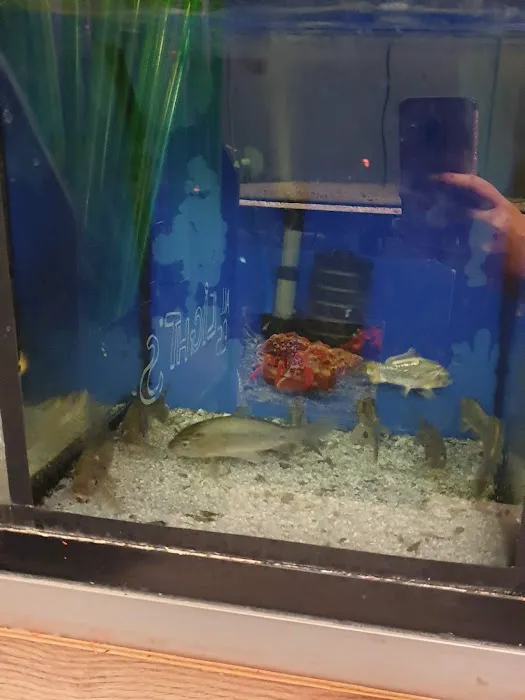 MD Aquatics Picture 8