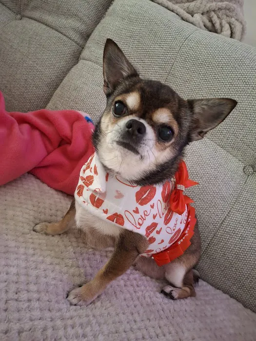 Rosies Boutique LTD Picture 4