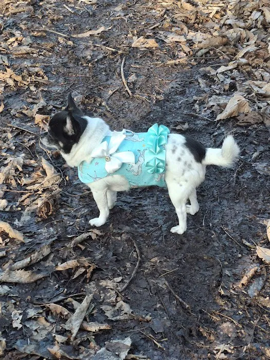 Rosies Boutique LTD Picture 3