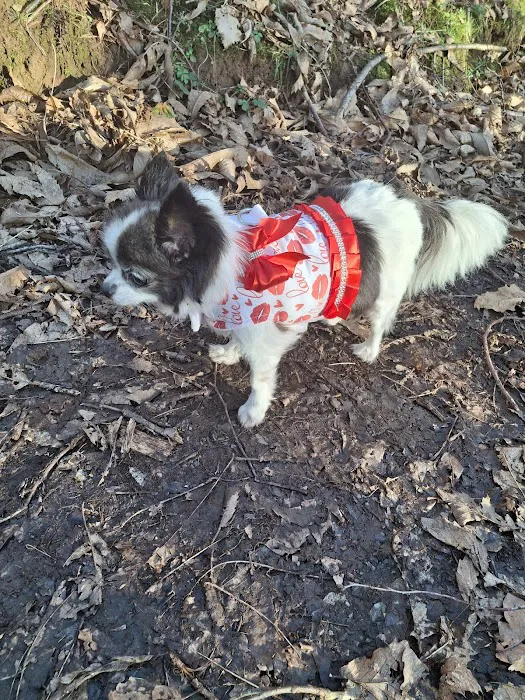 Rosies Boutique LTD Picture 7