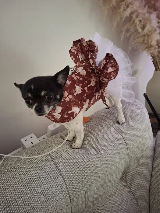 Rosies Boutique LTD Picture 1