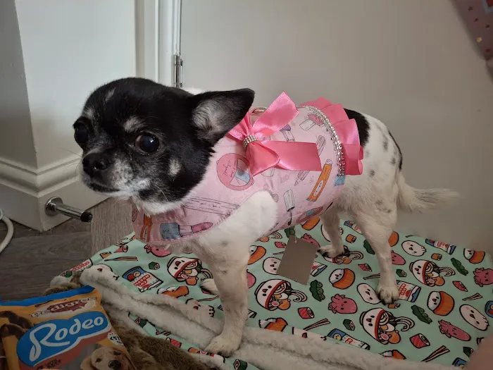 Rosies Boutique LTD Picture 6