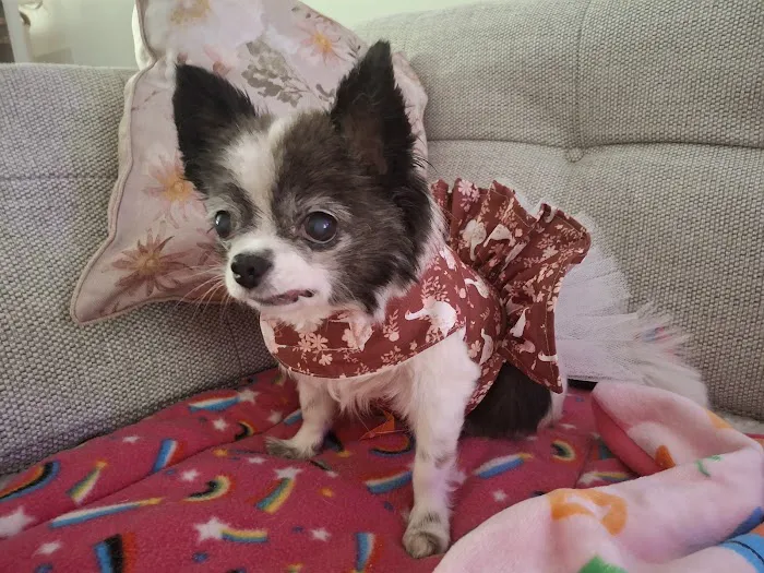 Rosies Boutique LTD Picture 2