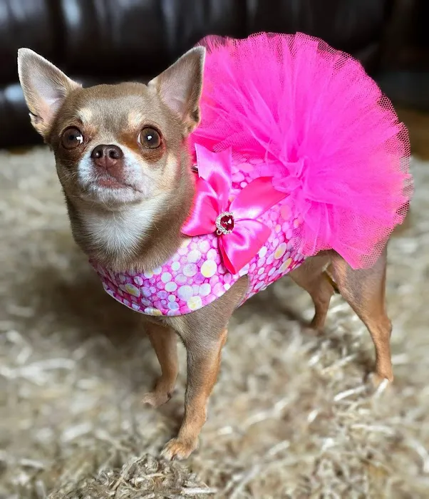 Rosies Boutique LTD Picture 8