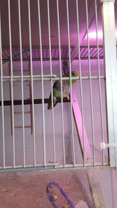 Planet pets Picture 5