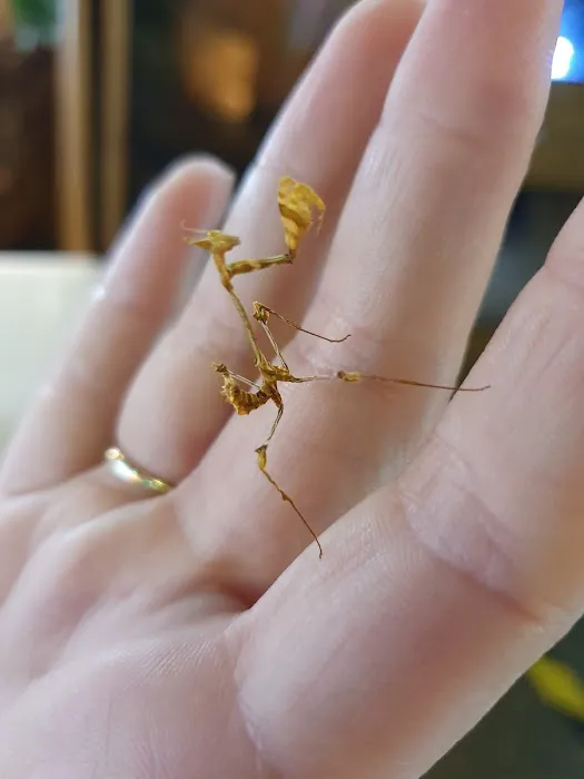 Planet pets Picture 6