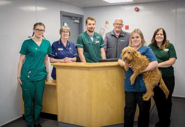 Clifton Lodge Veterinary Group, Horden Picture 4