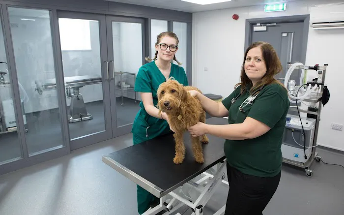 Clifton Lodge Veterinary Group, Horden Picture 3