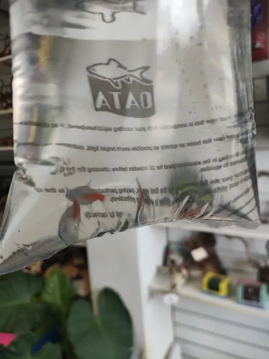 Shield Aquatics Picture 1