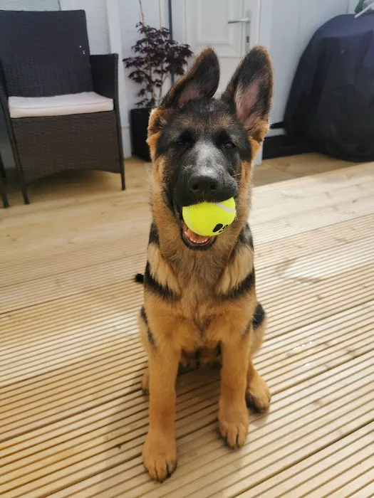 Tony’s Pet and Garden Supplies Picture 9