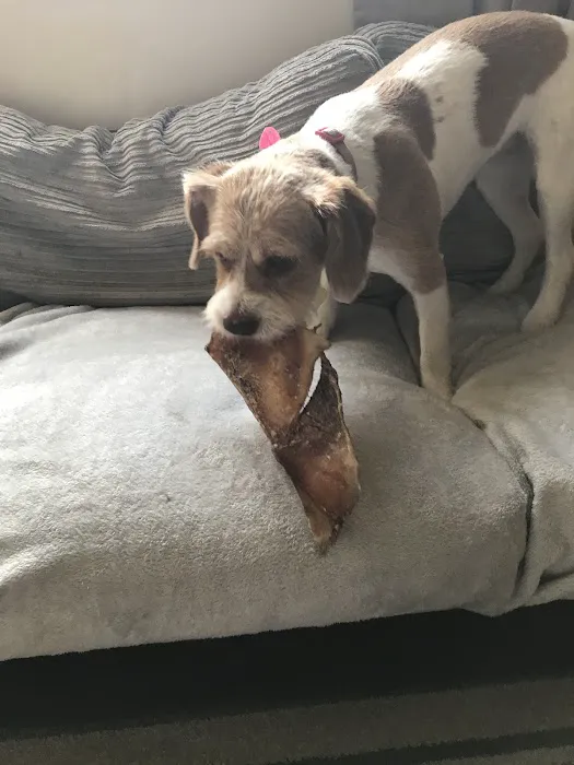 Tony’s Pet and Garden Supplies Picture 2