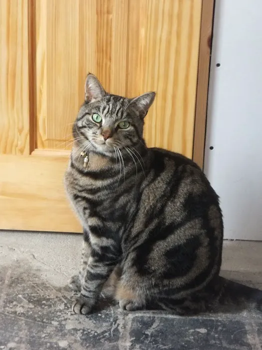 Tony’s Pet and Garden Supplies Picture 3