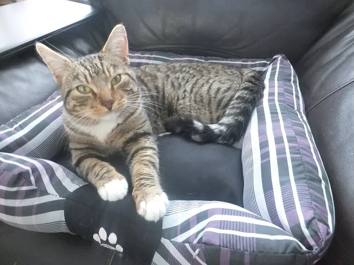 Tony’s Pet and Garden Supplies Picture 1