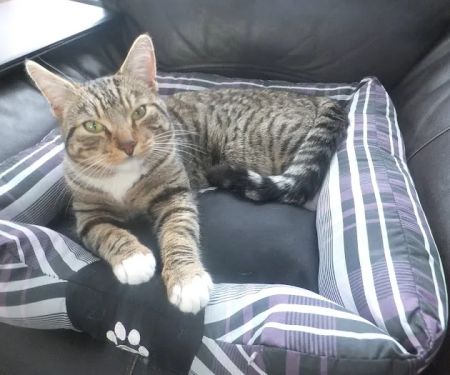 Tonyu2019s Pet and Garden Supplies