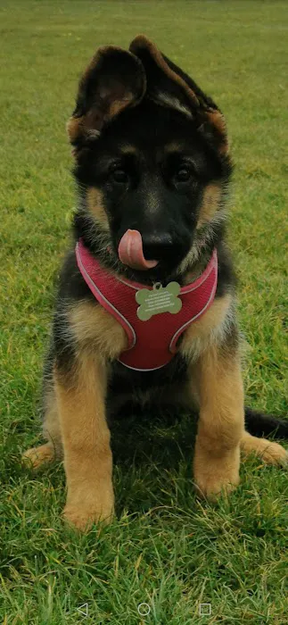 Tony’s Pet and Garden Supplies Picture 6