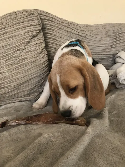 Tony’s Pet and Garden Supplies Picture 4