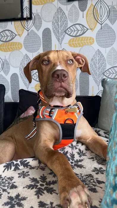 Tony’s Pet and Garden Supplies Picture 10