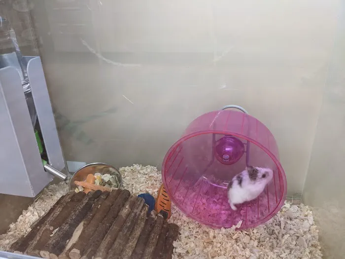 Pets at Home North Shields Picture 6