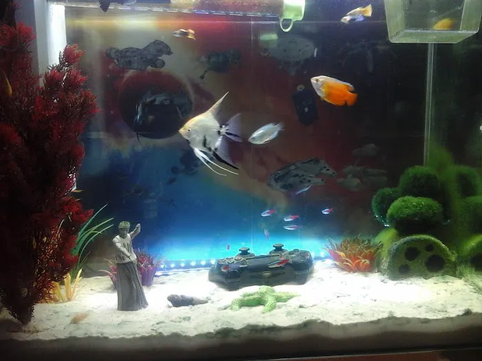 Pets at Home North Shields Picture 1