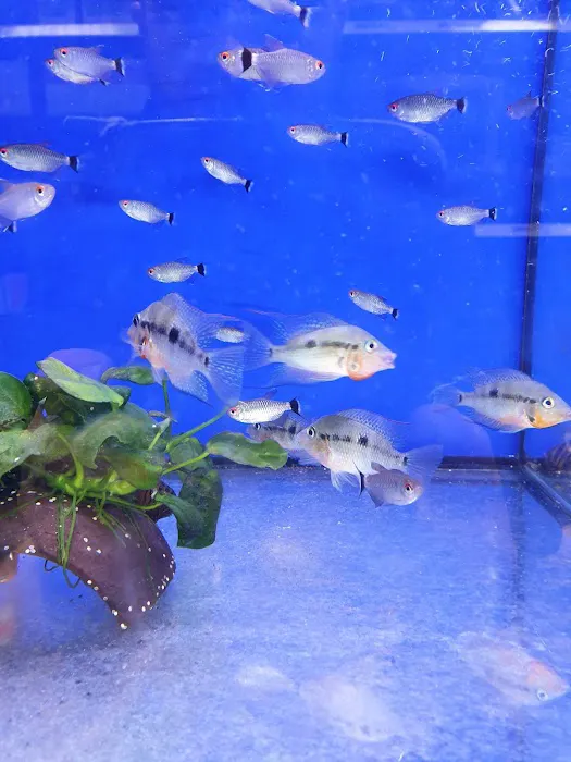 Pets at Home North Shields Picture 7