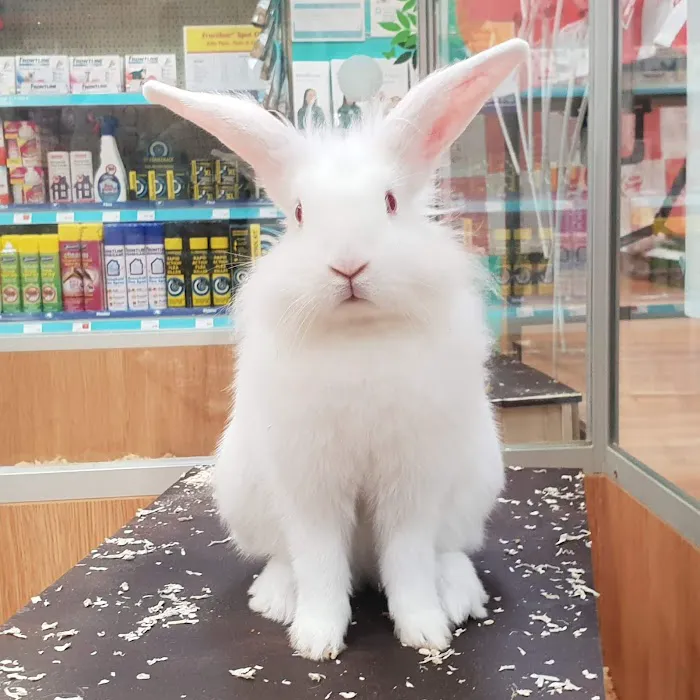 Pets at Home North Shields Picture 8