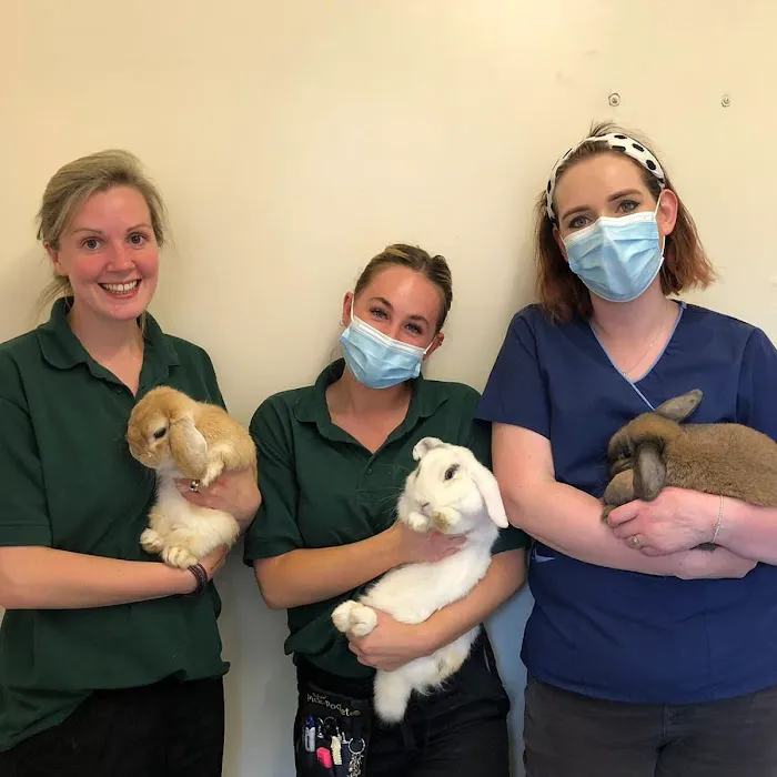 Forrest House Veterinary Group - Bedale Picture 4