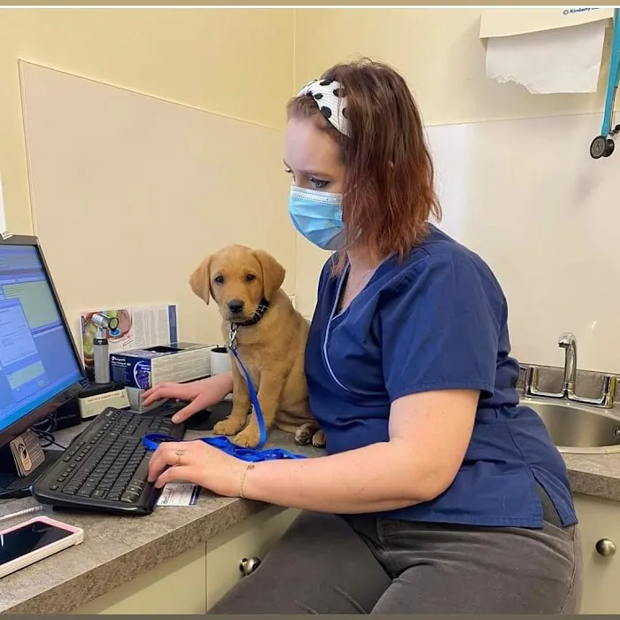 Forrest House Veterinary Group - Bedale Picture 7