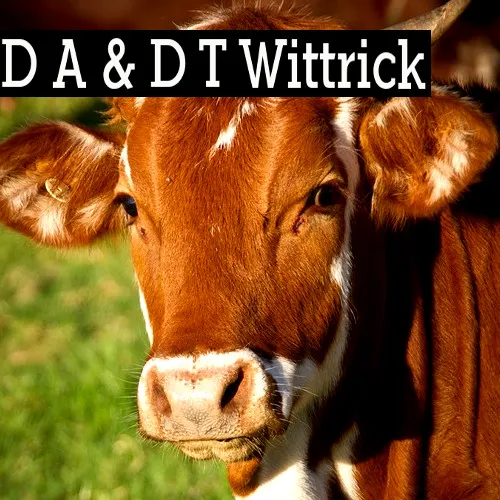 D A & D T Wittrick Picture 1