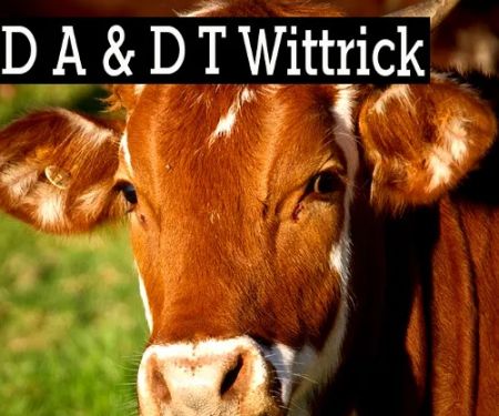 D A & D T Wittrick
