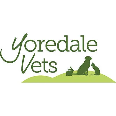 Yoredale Vets - Leyburn Picture 4