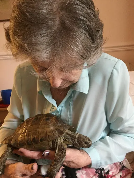 Aquatic Finatic Picture 6