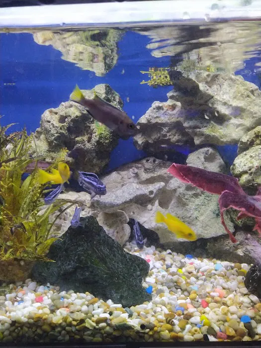 Aquatic Finatic Picture 5