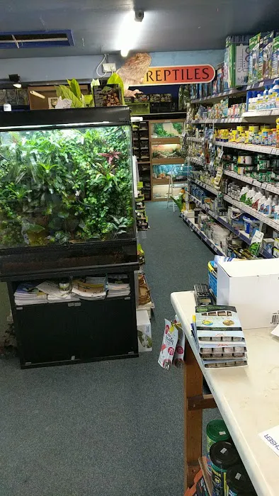 Aquatic Finatic Picture 4