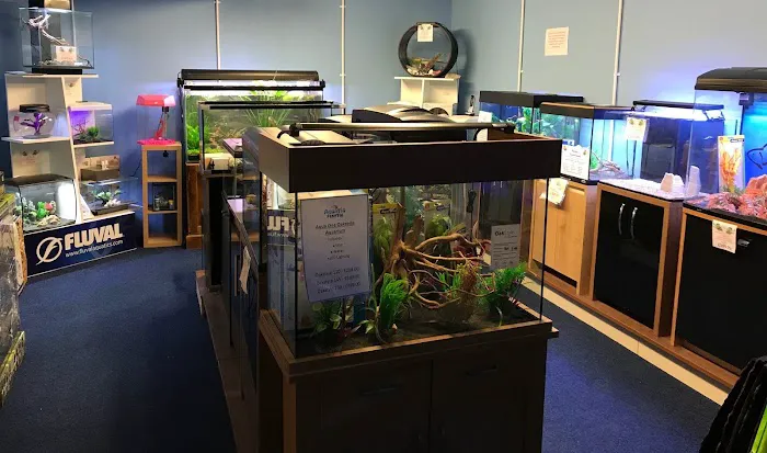 Aquatic Finatic Picture 10