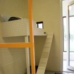 Howgrave Lodge Cattery