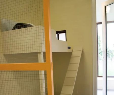 Howgrave Lodge Cattery