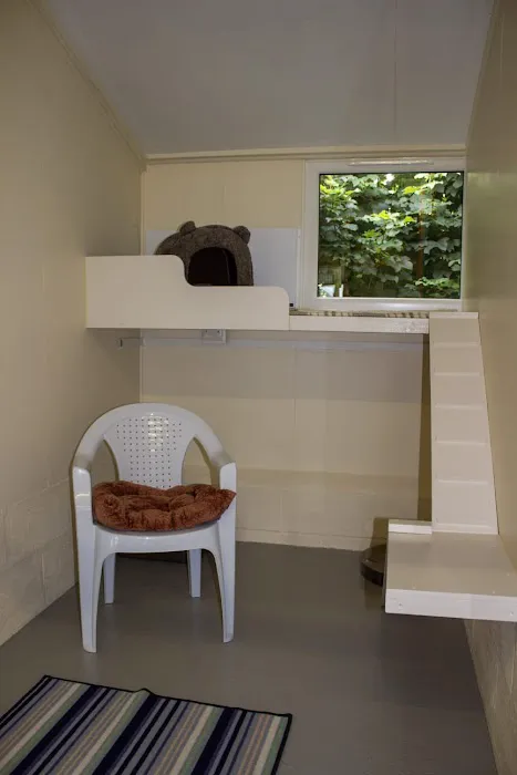 Howgrave Lodge Cattery Picture 5
