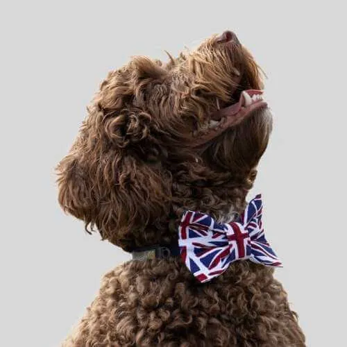 Dudiedog Bandanas Picture 3