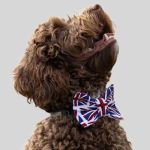 Dudiedog Bandanas