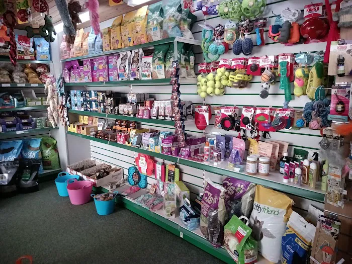 Chloes Creature Comforts Picture 2